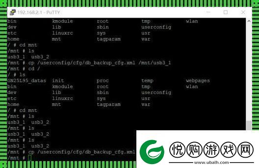 超级密码telnet探秘