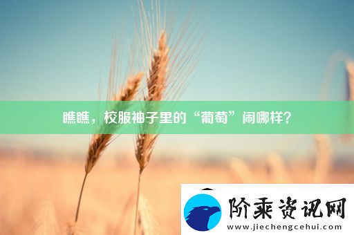 瞧瞧