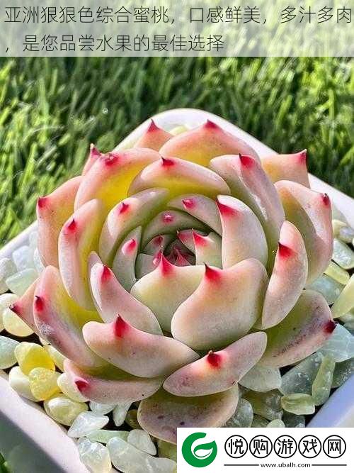亚洲狠狠色综合蜜桃