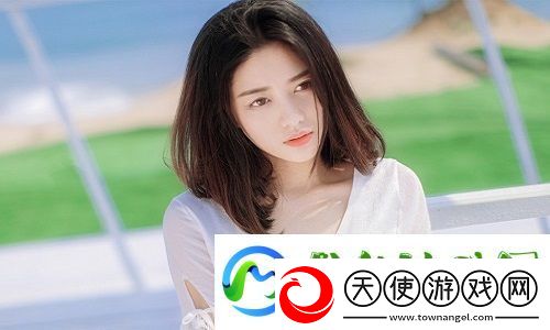 韩国理论大全被热议