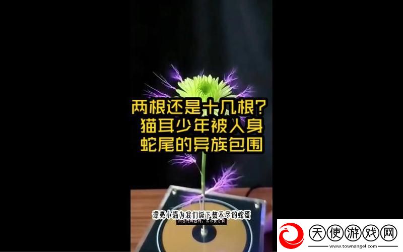 两根还是十几根