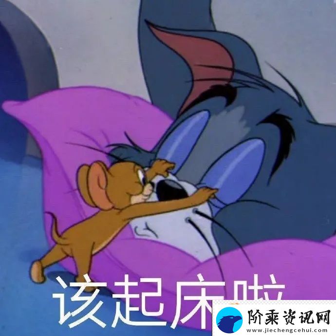 猫和老鼠表情包有哪些