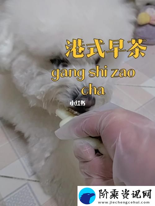 详细介绍狗和人胶配方大全高清图片