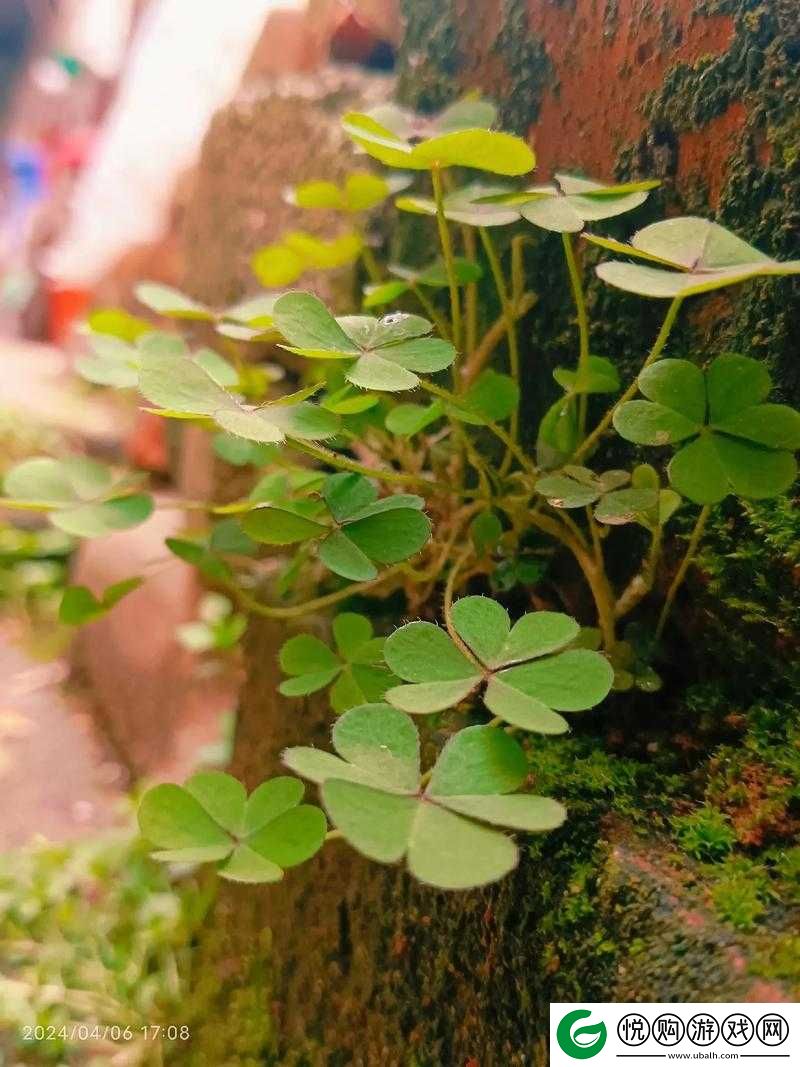 夹缝求生的河马