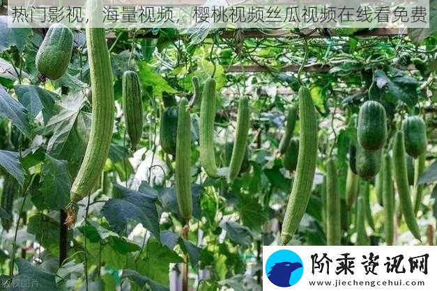 热门影视