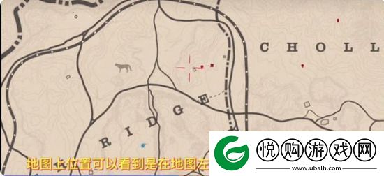 荒野大镖客2美洲狮必刷在什么位置