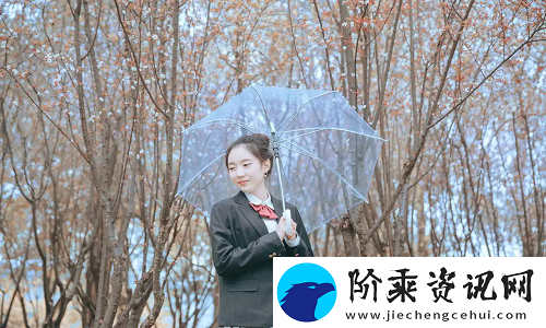 免费又高效!日本免费saas