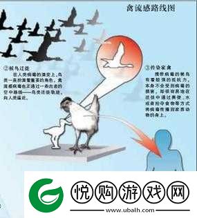 巴西人