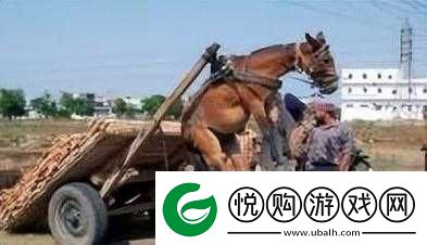 人马畜禽共性关系对生态平衡及人类发展的重要意义