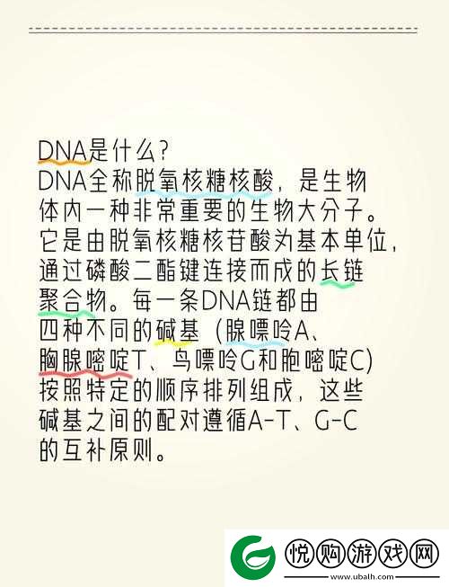 人与 dna 的 dna 免费
