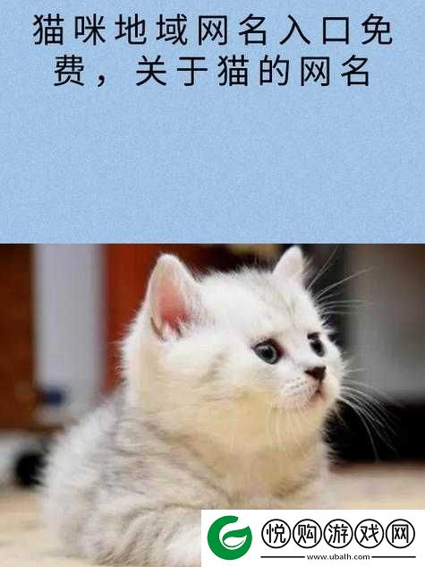猫咪最新地域网名 3336PT3