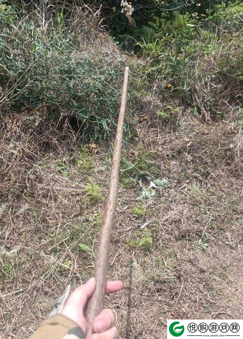 你裤子里怎么有一根棍子