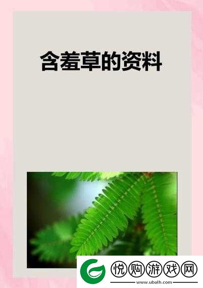 奇异水蜜桃香蕉含羞草