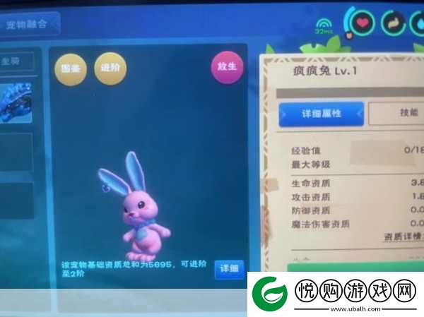 揭秘创造与魔法兰兰兔合成秘籍