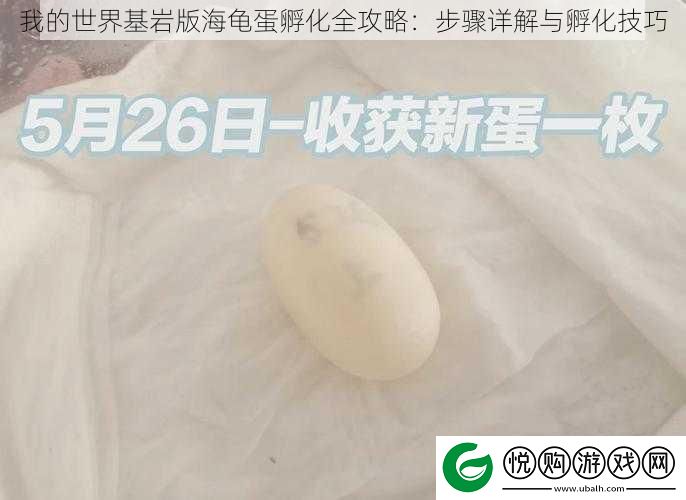 我的世界基岩版海龟蛋孵化全攻略