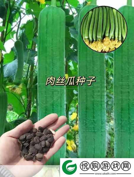 国产高清精品软件丝瓜软件