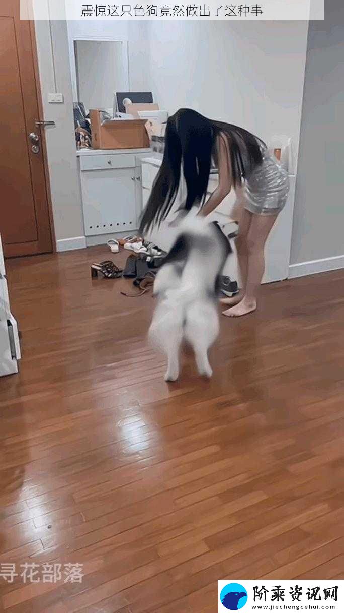 震惊这只色狗竟然做出了这种事