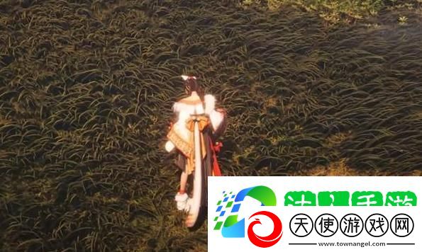 双剑流玩法介绍