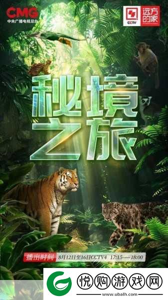 无人区一码二码三码四码多人收藏
