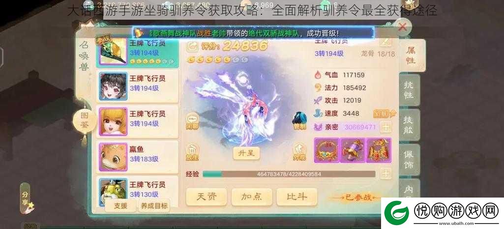 大话西游手游坐骑驯养令获取攻略