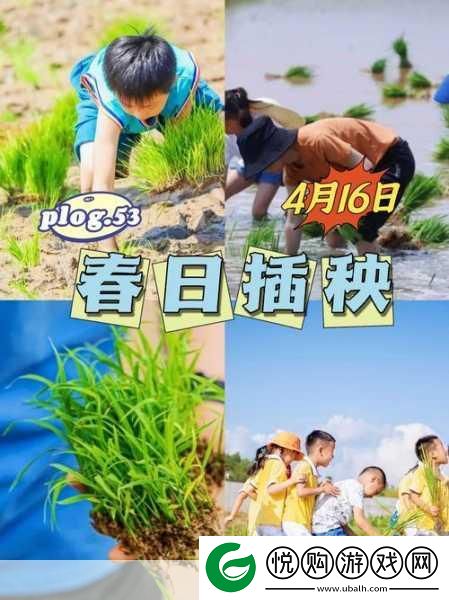 男友说想插秧了怎么回复