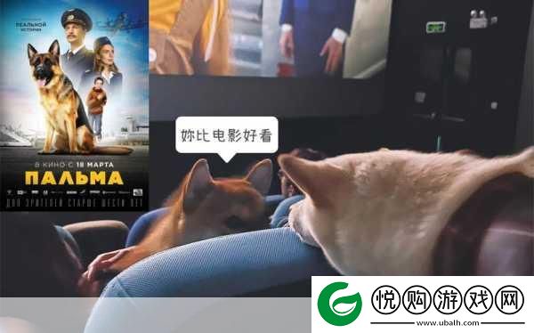 xbox免费播放高清影片的优点
