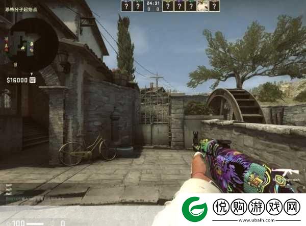 探秘暴躁老阿姨CSGO