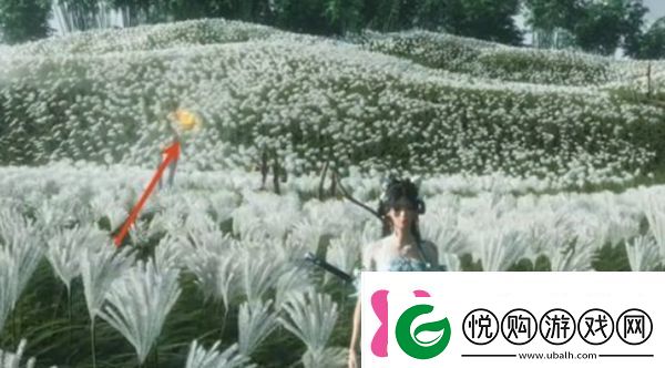 燕云十六声宝箱位置怎么显示