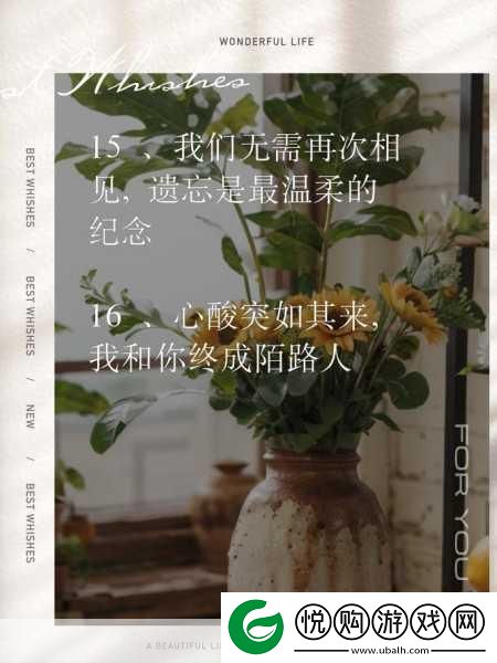 老婆说想找个陌生人试试复合