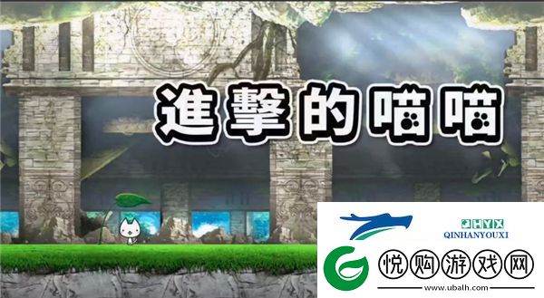 进击的喵喵最新版app下载