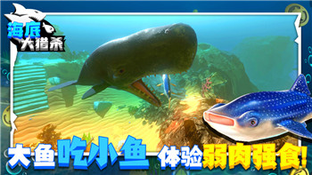 帕斯卡契约强力装备在哪