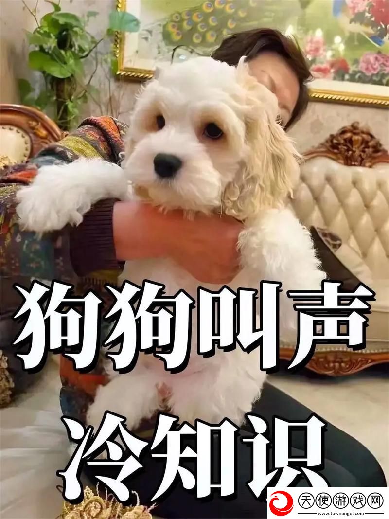 抖S狗狗要乖乖听主人的话