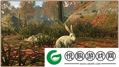 明日之后抓兔子怎么玩