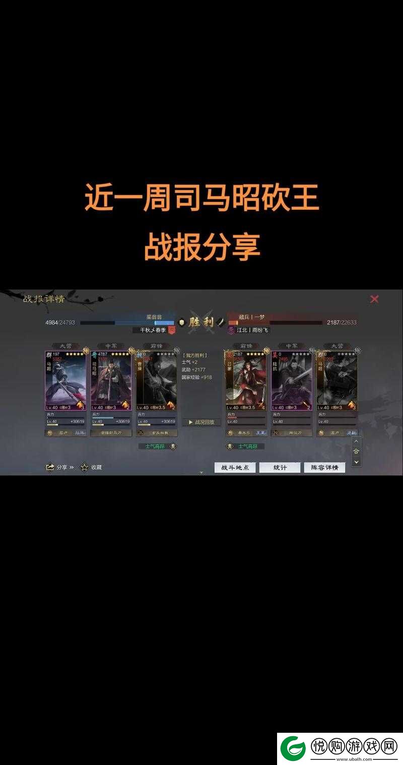 无双大蛇3深度解析，司马昭天舞流搭配策略与实战玩法推荐
