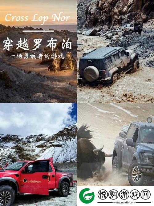 勇敢者的游戏