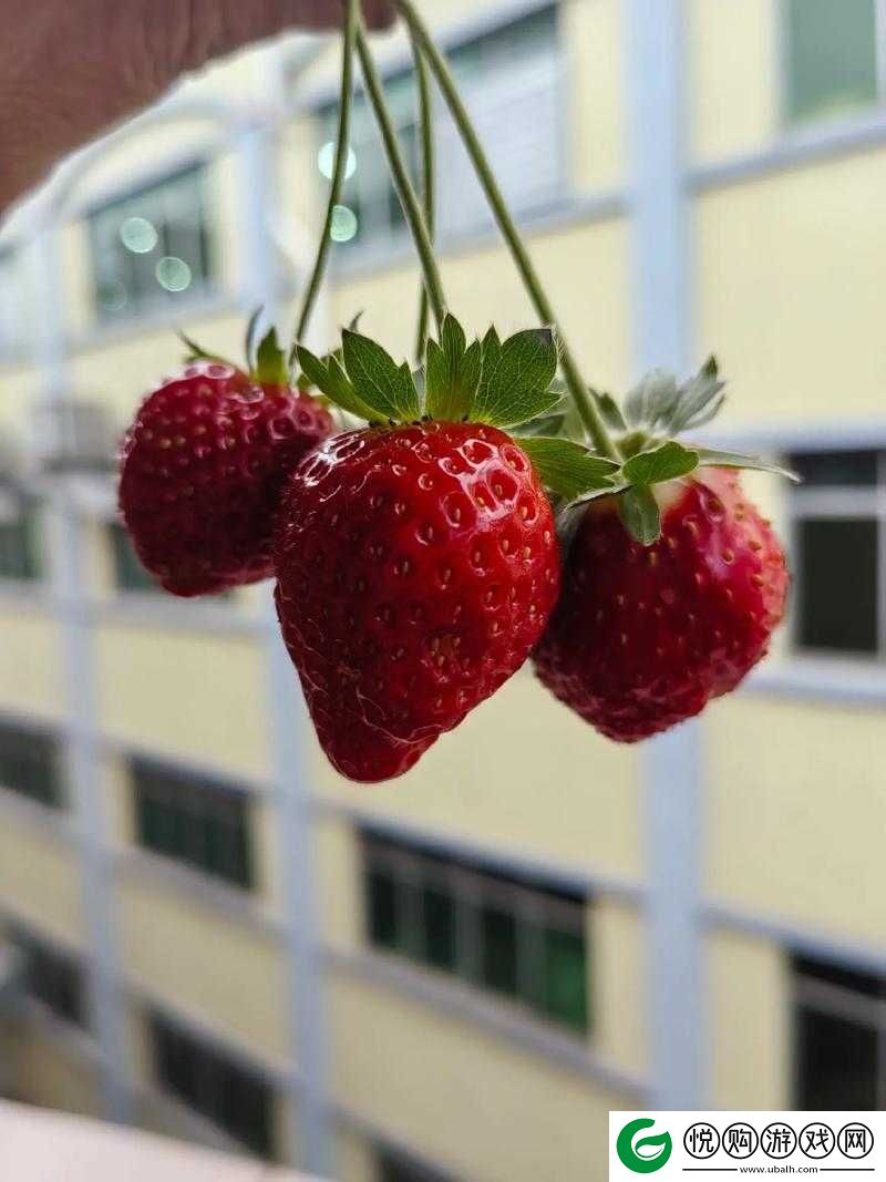 如何恢复草莓视频