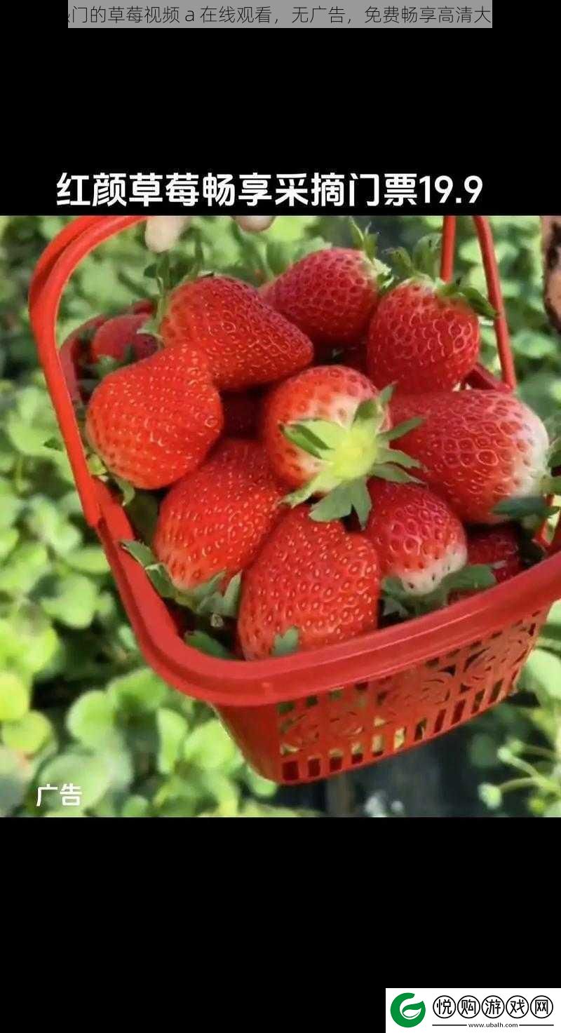 热门的草莓视频