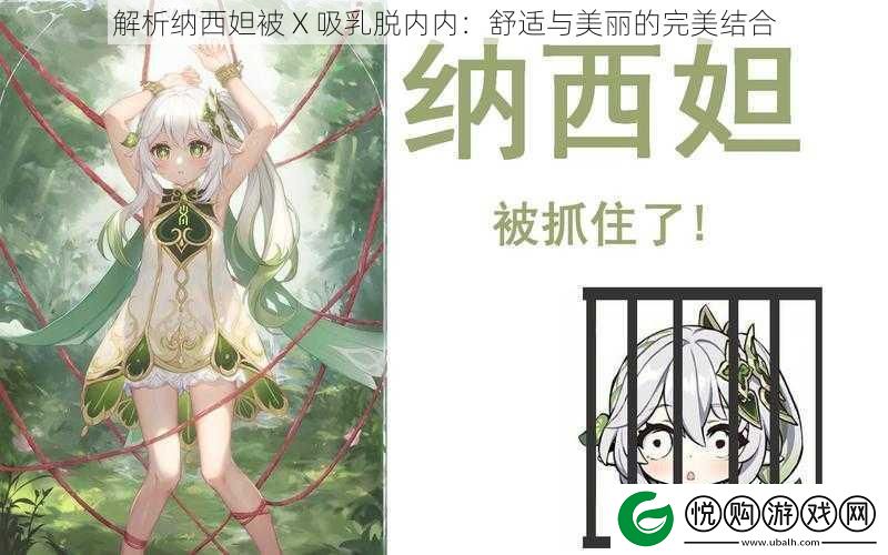 解析纳西妲被