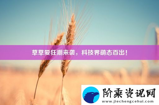 草草爱狂潮来袭