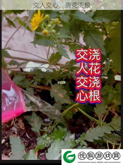交人交心