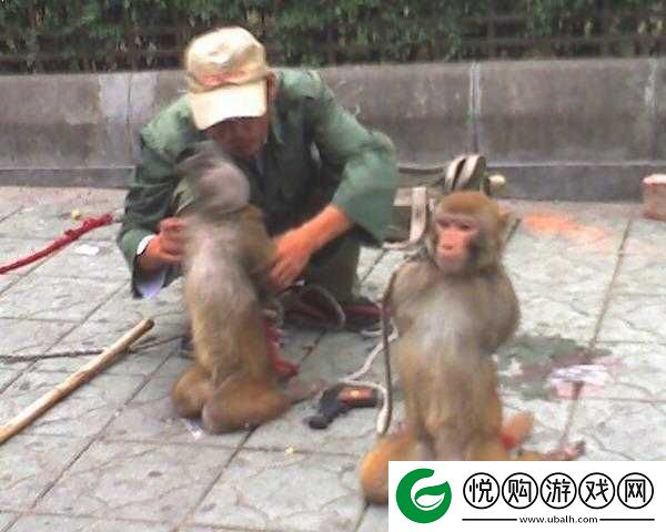 令人发指的人**行为