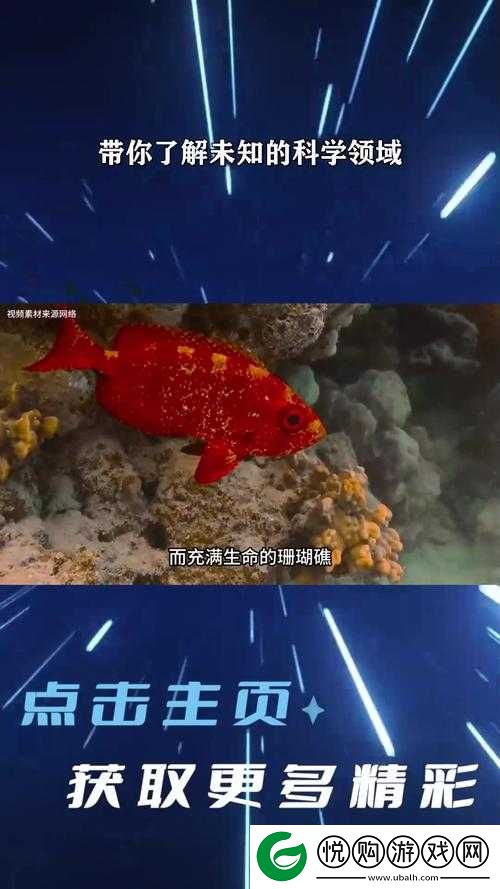 亚洲射色精品大地资源
