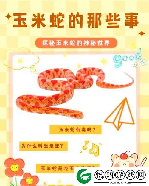 香大伊煮三区五区