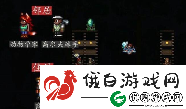 泰拉瑞亚npc最佳分配怎么分