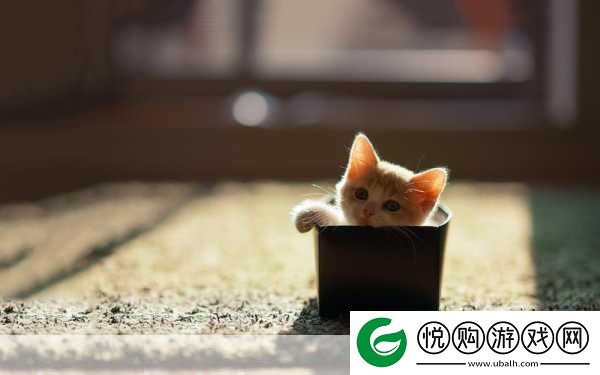 疯狂动物岛