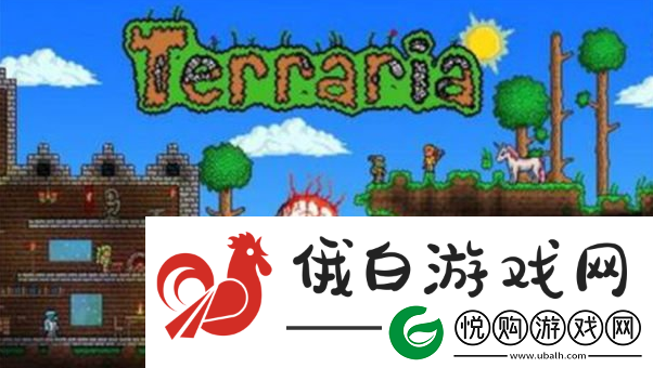 泰拉瑞亚npc最佳分配怎么分