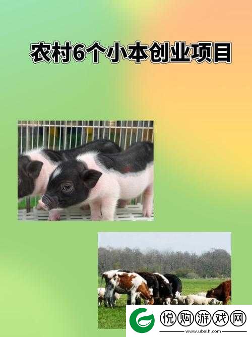 日本畜禽 CORPORATION