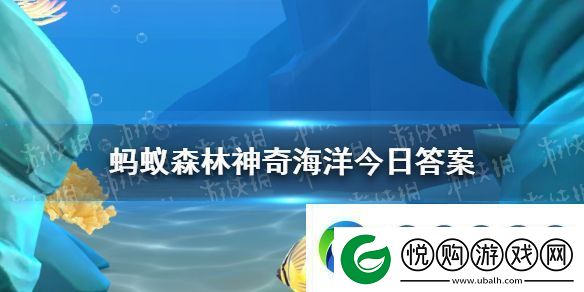 以下哪种鲨鱼遇到危险时会吸水膨胀