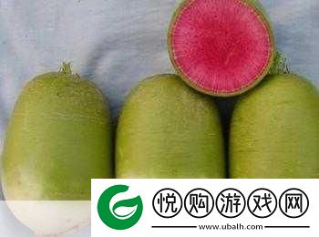 免费观看萝卜大全电视剧萝卜大全