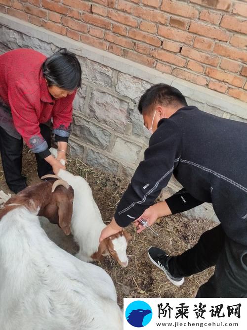 人与畜禽共性行为的心理学